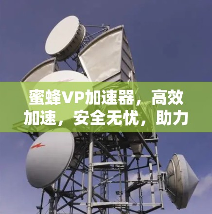 蜜蜂VP加速器，高效加速，安全无忧，助力您的网络优化（免费破解版）