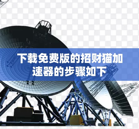 下载免费版的招财猫加速器的步骤如下