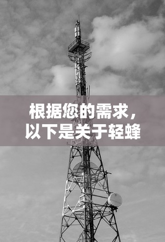 根据您的需求，以下是关于轻蜂加速器的一些总结和建议