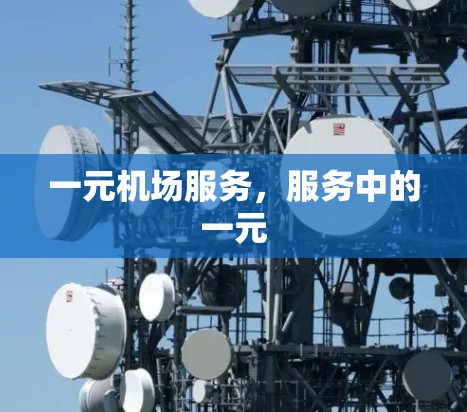 一元机场服务，服务中的一元