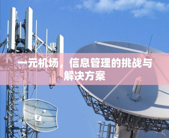 一元机场，信息管理的挑战与解决方案