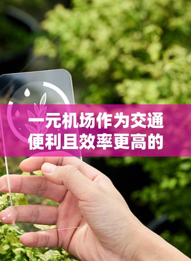 一元机场作为交通便利且效率更高的服务场所，主要功能包括