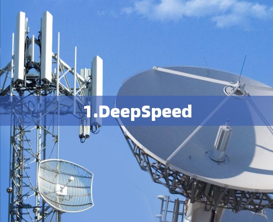 1.DeepSpeed