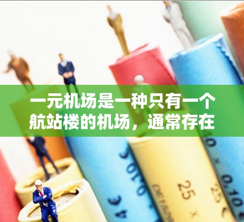 一元机场是一种只有一个航站楼的机场，通常存在于特定的国家或城市中，因为那里没有其他机场。这种设计可能有以下特点