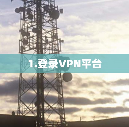 1.登录VPN平台