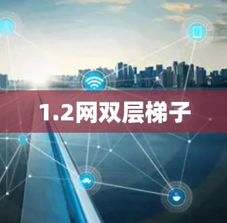 1.2网双层梯子