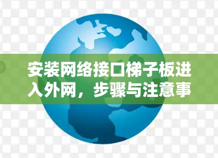 安装网络接口梯子板进入外网，步骤与注意事项