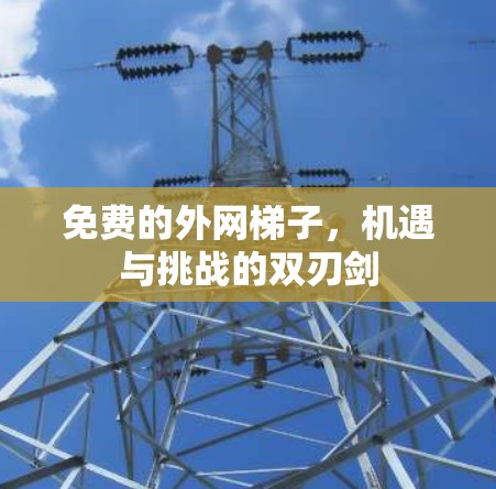 免费的外网梯子，机遇与挑战的双刃剑