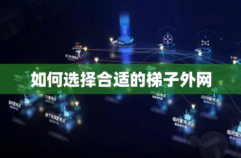 如何选择合适的梯子外网