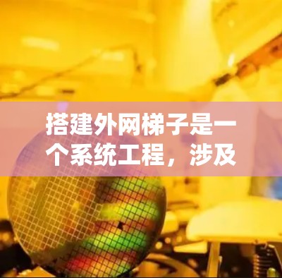 搭建外网梯子是一个系统工程，涉及多个步骤和配置。以下是一个详细的指南，帮助您系统地搭建一个可靠的外网梯子