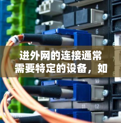 进外网的连接通常需要特定的设备，如连接器，而梯子可能指的是某种用于连接的工具。如果外网没有免费提供梯子或连接器，可以尝试以下方法