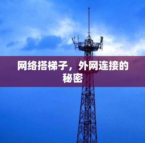 网络搭梯子,外网连接的秘密 网络搭梯子,外网连接的秘密