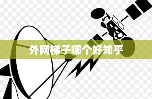 外网梯子哪个好知乎