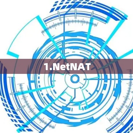 1.NetNAT