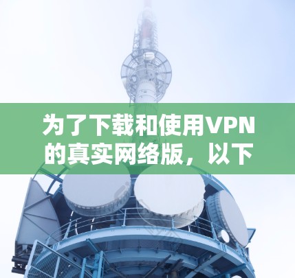 为了下载和使用VPN的真实网络版，以下是一些步骤说明