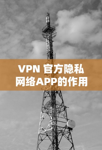 VPN 官方隐私网络APP的作用