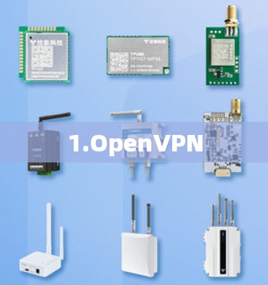 1.OpenVPN 1.OpenVPN