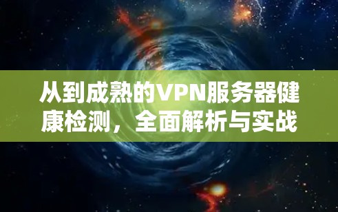 从到成熟的VPN服务器健康检测，全面解析与实战指南