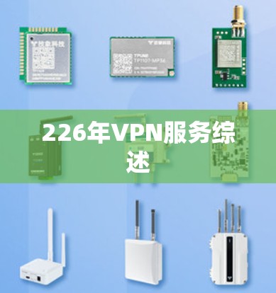226年VPN服务综述