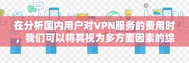 在分析国内用户对VPN服务的费用时，我们可以将其视为多方面因素的综合结果。以下是详细的分析和总结