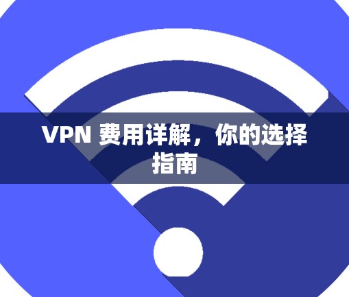 VPN 费用详解，你的选择指南