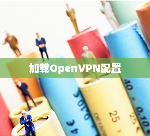 加载OpenVPN配置