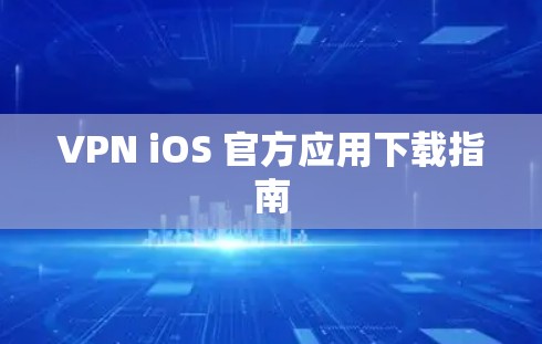 VPN iOS 官方应用下载指南
