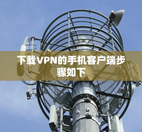 下载VPN的手机客户端步骤如下