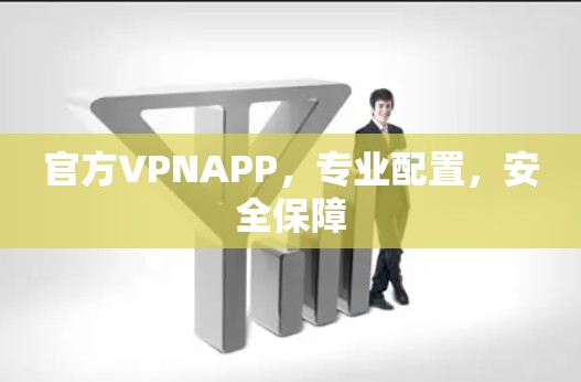 官方VPNAPP，专业配置，安全保障