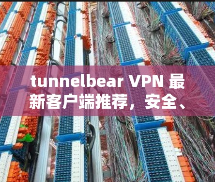 tunnelbear VPN 最新客户端推荐，安全、可靠、便捷的VPN解决方案