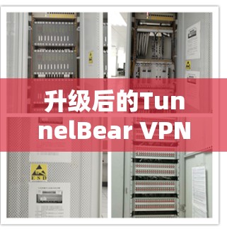 升级后的TunnelBear VPN，安全、高效、便捷的网络安全解决方案
