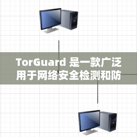 TorGuard 是一款广泛用于网络安全检测和防护的软件，尤其适用于网络攻击检测和VPN的安全性评估。在VPN性能测试中，TorGuard 的表现主要体现在以下几个方面