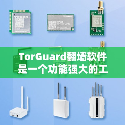 TorGuard翻墙软件是一个功能强大的工具，可以帮助用户管理网络翻墙设置，同时提供安全保护功能。关于稳定梯子工具，这里的稳定梯子通常指的是易于使用的、功能集中且易于操作的工具