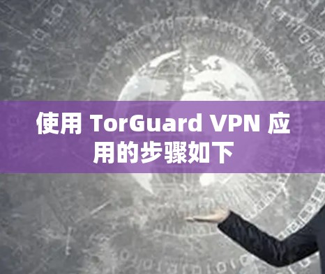 使用 TorGuard VPN 应用的步骤如下