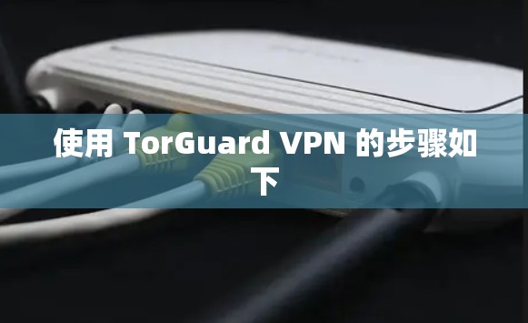 使用 TorGuard VPN 的步骤如下